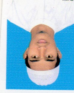 Jannatun